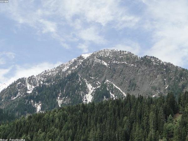 Kashmir 2